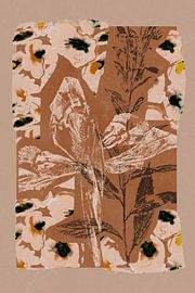Herbier botanique