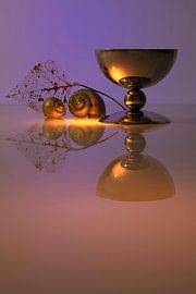 Modernes Stillleben. Glas 6