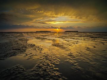 Golden sunset van Lex Schulte