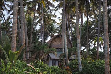 Heerlijk tropisch droomhuisje in het paradijs omringd door hoge palmbomen in hartje Bali van Marcus Photography