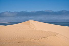 Des arêtes vives sur une dune de sable doré sur Frank's Awesome Travels