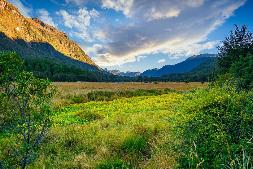 Eglinton Valley sur la route de Milford Sound, Nouvelle-Zélande par Rietje Bulthuis