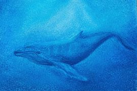 Walvis in het blauw van Jente Bergman