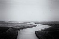 Waddenzee zwart-wit bij eb van John Quendag thumbnail