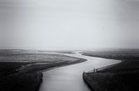 Wadden Sea black and white at ebb