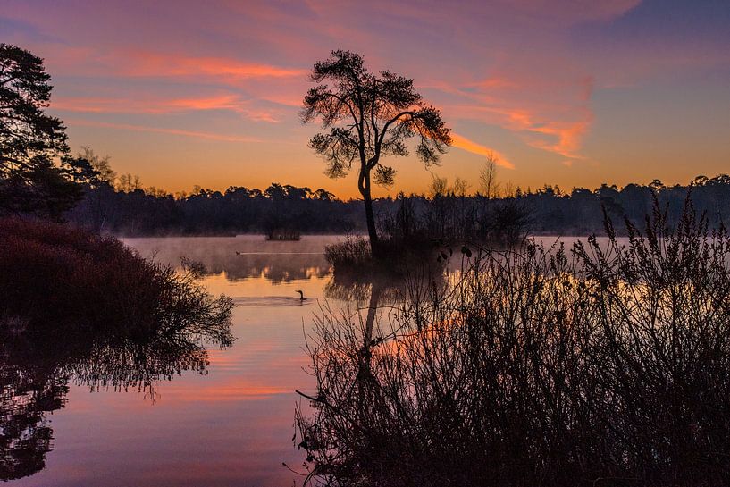 Sunrise Voorste Goorven Oisterwijkse Bossen by Freddie de Roeck