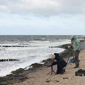 Yolande Mulder profielfoto