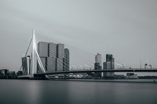 Erasmus Bridge, Rotterdam
