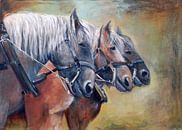 zeeuwse paardenkracht.. ( de 3 musketiers) von Els Fonteine Miniaturansicht