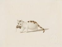 Gottfried Mind - Young cat with prey (c. 1800)