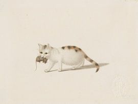 Gottfried Mind - Young cat with prey (c. 1800) by Hernâni Fernandes Tavares e Sousa
