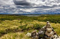 Hoogvlakte in Noorwegen ( Hardangervidda ) van Wouter van Agtmaal thumbnail