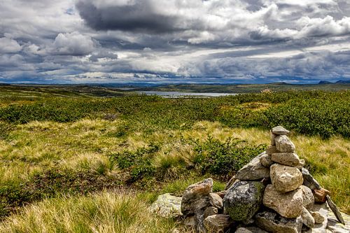 Plateau norvégien ( Hardangervidda )
