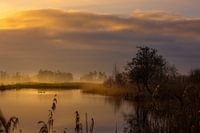 Sonnenaufgang in De Wieden