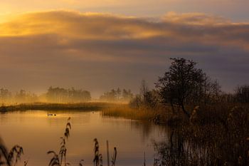 Lever de soleil à De Wieden