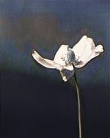 Bloemen schilderij