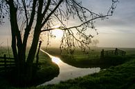 Niederländischer Polder bei Sonnenuntergang von Arthur Puls Photography Miniaturansicht