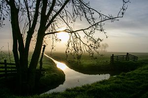 Niederländischer Polder bei Sonnenuntergang