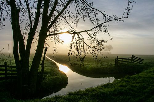 Hollands polderlandschap tijdens zonsopkomst