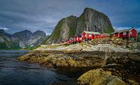Karakteristieke huisjes op de Lofoten