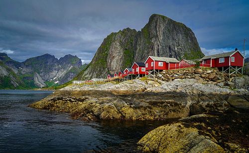 Characteristic cottages on the Lofoten Islands