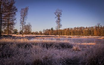 Watergat - Kale Duinen