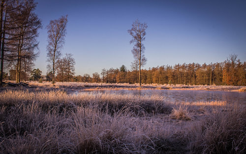 Watergat - Kale Duinen