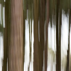 Une forêt en mouvement sur Ellen Middelkoop