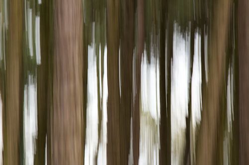 Bewegend bos