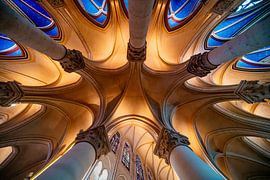 Au cœur de Notre-Dame sur Mathias Leon