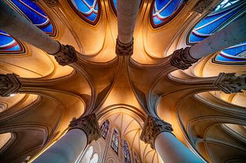 In het hart van de Notre Dame