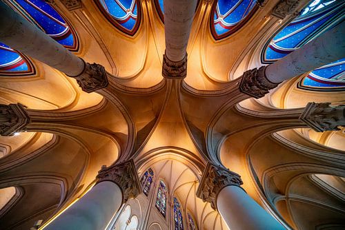 In het hart van de Notre Dame