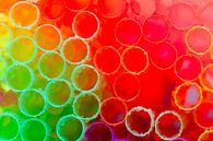 Groen, rood en paars gekleurde rietjes met waterdruppels van Mark Scheper thumbnail
