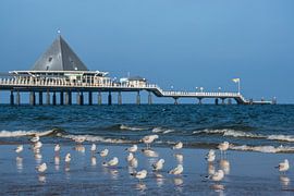 Seebrücke Heringsdorf, Deutschland von Gunter Kirsch