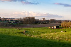 Goldene Landschaft von Werner Lerooy