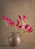 Stilleven, kruikje met vlamlelie (Gloriosa superba)