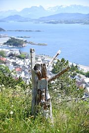 Ausblick auf den Fjord von Matthias Spartz