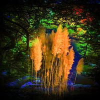 Impressions d'automne