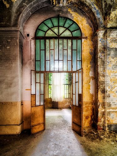 COLORO sur Bjorn Renskers