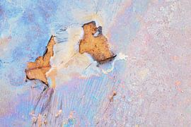 Stilleven met eikenblad in kwel