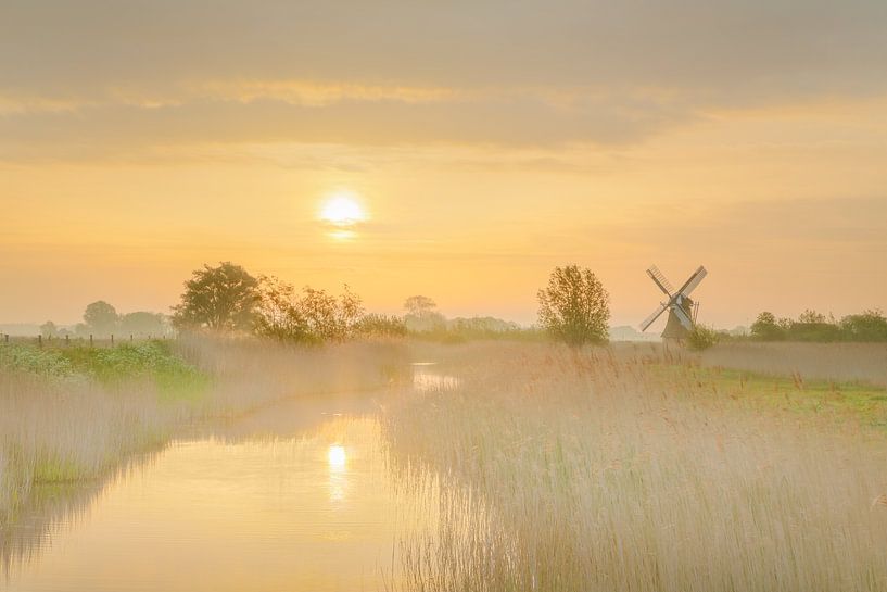 Molen bij zonsopkomst van Karla Leeftink