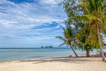 Une île tropicale magnifique en Thaïlande. Une plage panoramique.