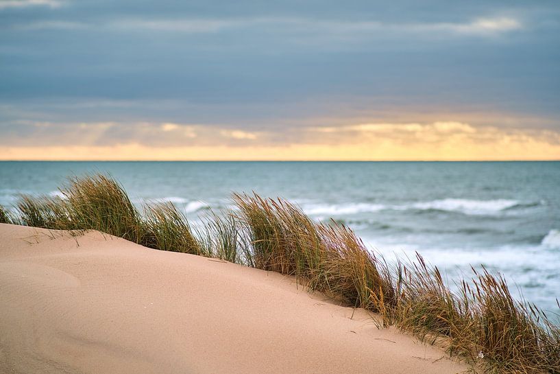 Dunes at the Danish coast by Florian Kunde