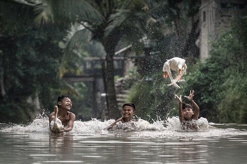 Spelen met de ganzen