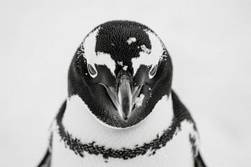 Pinguïn in zwart-wit van Poster Art Shop