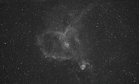 the heart nebula