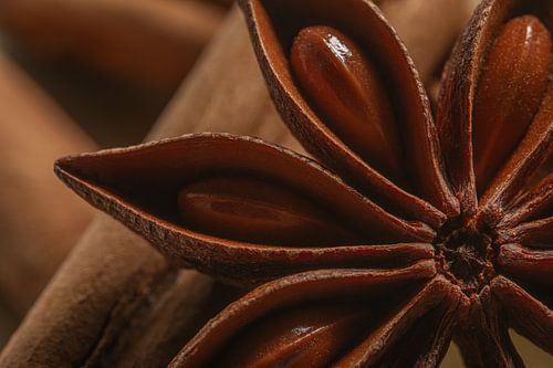 Warmte: Close-up van Steranijs