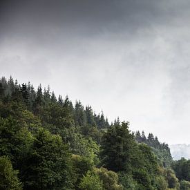 Arbres sur les montagnes sur Christiaan Onrust