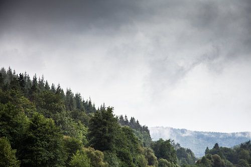 Bomen op bergen van Christiaan Onrust