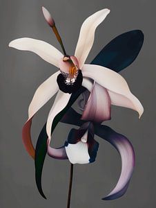 Kunstzinnige orchidee